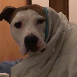 Meet your Posher, Logan